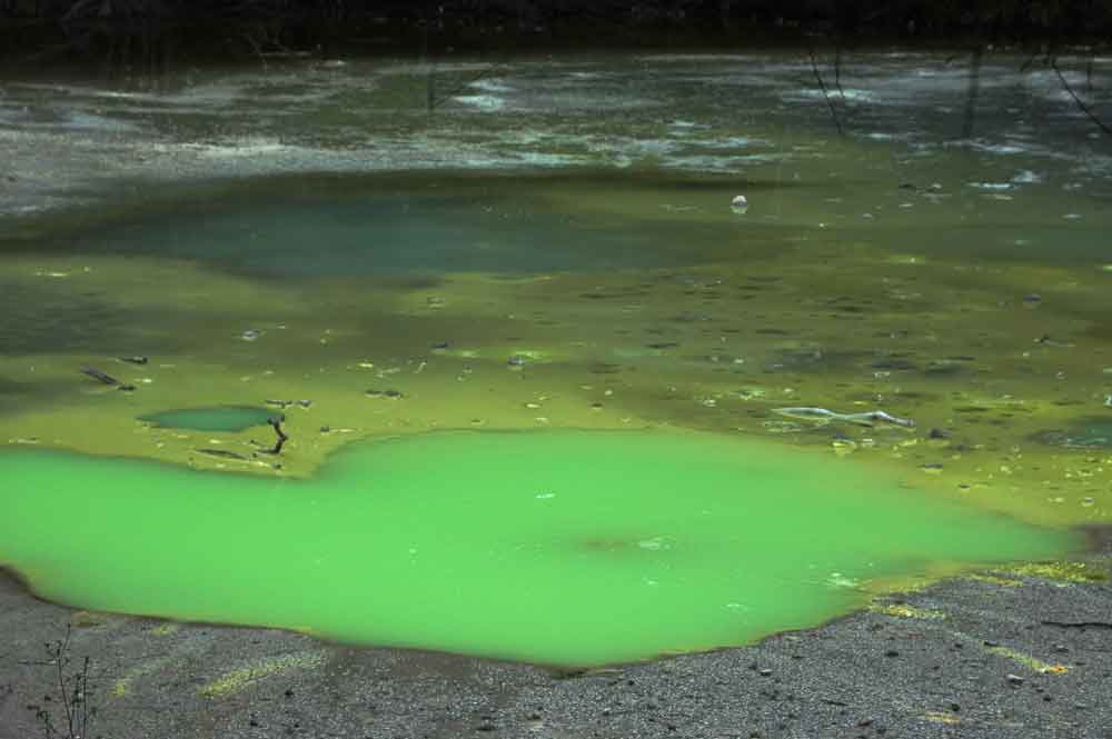 77 - Nueva Zelanda - Rotorua, Wai-o-tapu, piscina de opalo